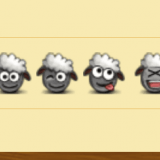 00906599922036090966