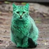 02532579881246377320