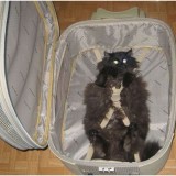 05305296214198395026