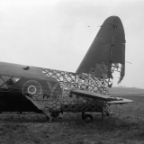 06857409384113080211