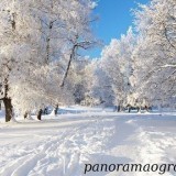 07833611584711688864