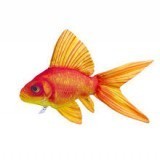 09431204813279331940