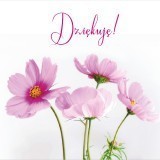 09878979378289511850