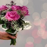 130d07c1ecafb26b3568e72c89e75239