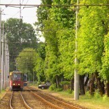 14d11e7debf24a4d552bf88064f80cce