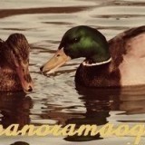 16807839985034615616