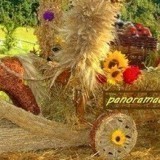 18365062923060051384