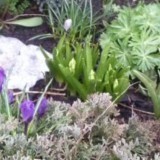 18598997586225447334