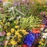 18894894109783193663