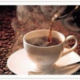 1eb8059ae9966a98ce9d6d8ccf3240b7