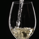 20221122171971332071