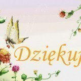 207e34c83a3cb045e1b7737fdc986d11