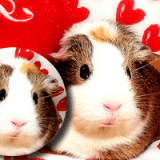 22318686982582036899