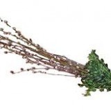 26749661854860787487