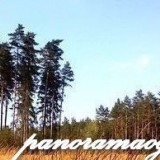 27374883325432651000