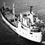 28876343131742457694