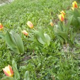 30117343137910338378