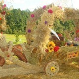 30453010057296479471