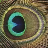 30916611263745987203