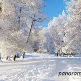 31840513995890996615