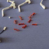 33134602628294045457