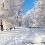 33984121905577533256