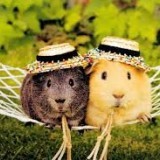 34280125795723500183