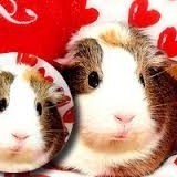 35120249819564291772