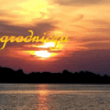 35706531692298059349