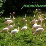 37479278385305418609