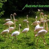 38033342631470529774