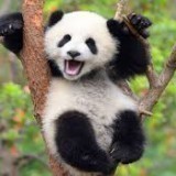 40426279487211704828