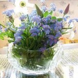 41211209124023833212