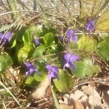 43736949087991350015