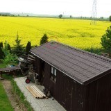 44066238125274090428