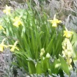 44150176341992558272