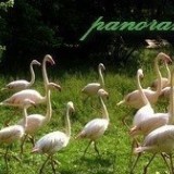 44579292771664864376