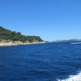 44813165780094461305