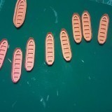 45469418081576465906