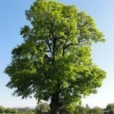 48553504590702214192