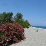 48b55f3b2e859c8cf36f97b6e97b05d9