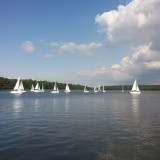 50330023587570118602