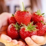 50964764358479555251