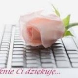 54349965835196919256