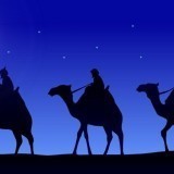 54562457427591204092