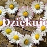 55279362815790438679