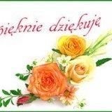 56269407187005186903