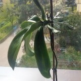 56836216482028359372