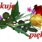 601207a197a1536174f2a87e31f3137f