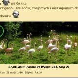 61429849901695259036